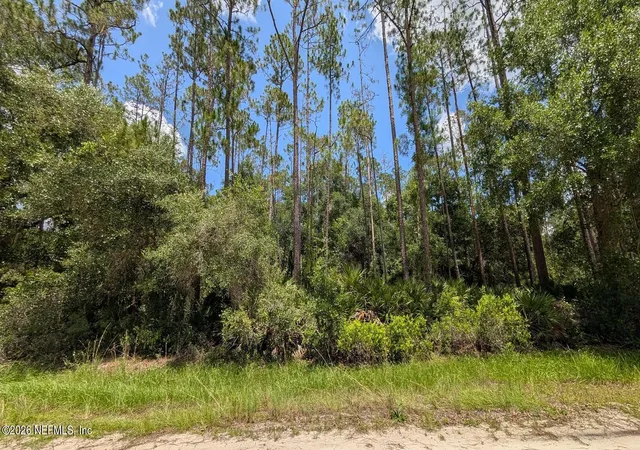 Homes for sale in Georgetown, FL | 301 Whispering Pines Rd, Georgetown, FL 32139 | MLS# 2153586