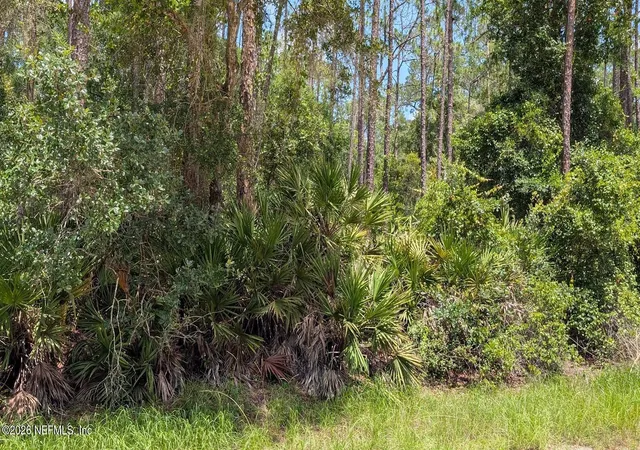 Homes for sale in Georgetown, FL | 301 Whispering Pines Rd, Georgetown, FL 32139 | MLS# 2153586