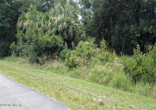 Homes for sale in Georgetown, FL | 710 Paradise Blvd, Georgetown, FL 32139 | MLS# 2153599