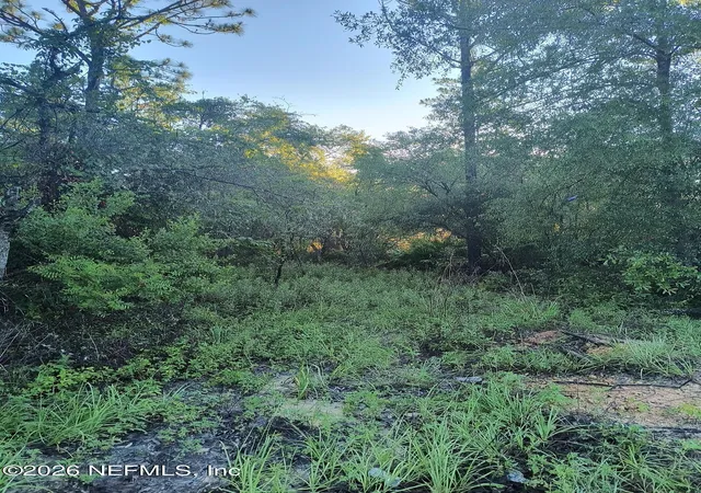 Photo 4 of Land for sale at 5730 Indian Trl, Keystone Heights, FL 32656 | MLS# 2154473 | Listing updated on 2026-08-18