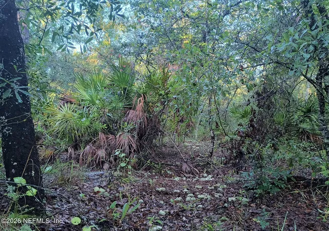12th image of 4235 Oak Forest Ln, Keystone Heights, FL 32656 | MLS# 2154472