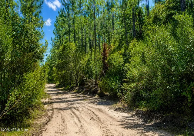 Photo 17 of Land for sale at 131 Nw 2nd Avenue, Palatka, FL 32177 | MLS# 2154575 | Listing updated on 2026-07-09