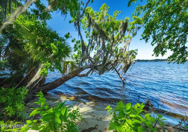 Photo 2 of Land for sale at 762 National Forest Rd 75g, Palatka, FL 32177 | MLS# 2155152 | Listing updated on 2026-07-13