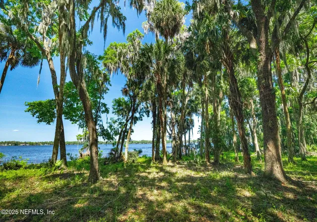 Photo 1 of Land for sale at 766 National Forest Rd 75g, Palatka, FL 32177 | MLS# 2155157 | Listing updated on 2026-07-13
