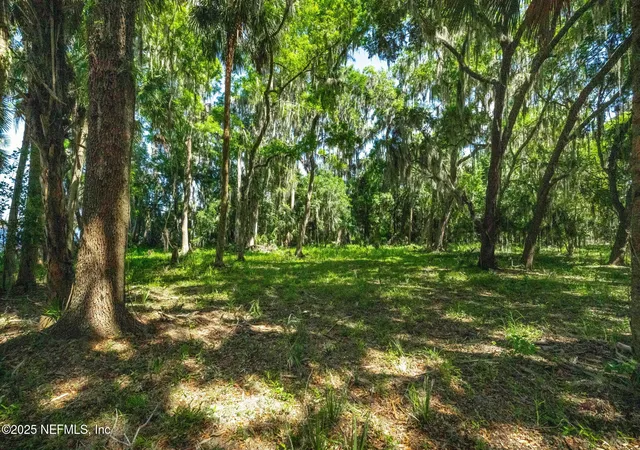 Photo 4 of Land for sale at 766 National Forest Rd 75g, Palatka, FL 32177 | MLS# 2155157 | Listing updated on 2026-07-13