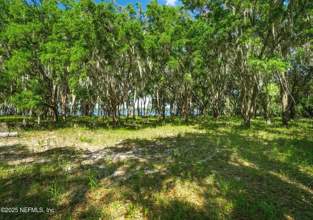 Photo 5 of Land for sale at 766 National Forest Rd 75g, Palatka, FL 32177 | MLS# 2155157 | Listing updated on 2026-07-13