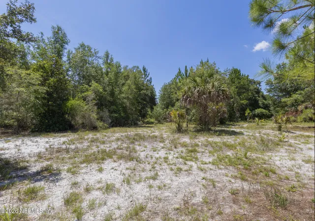 Homes for sale in Georgetown, FL | 133 Landvale St, Georgetown, FL 32139 | MLS# 2154770