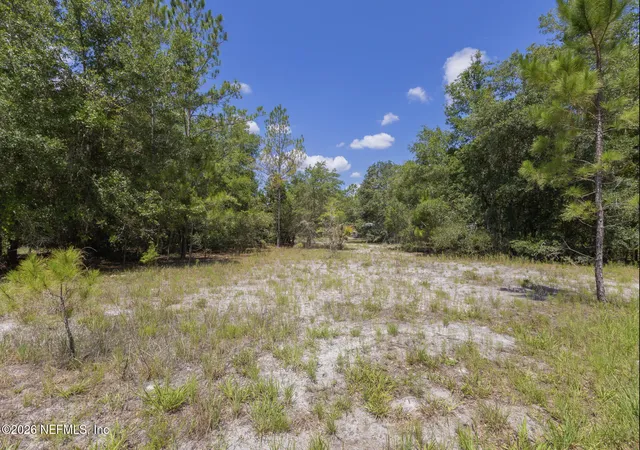 Homes for sale in Georgetown, FL | 133 Landvale St, Georgetown, FL 32139 | MLS# 2154770