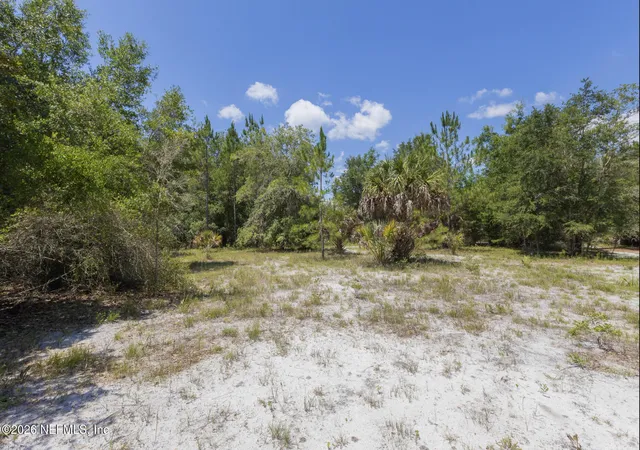 Homes for sale in Georgetown, FL | 133 Landvale St, Georgetown, FL 32139 | MLS# 2154770