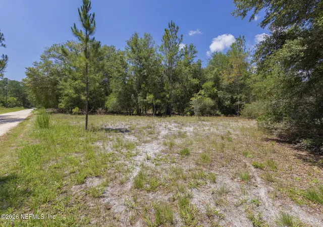 Homes for sale in Georgetown, FL | 133 Landvale St, Georgetown, FL 32139 | MLS# 2154770