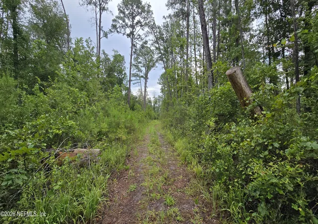 Homes for sale in Jasper, FL | 16 16th St Nw, Jasper, FL 32052 | MLS# 2154907