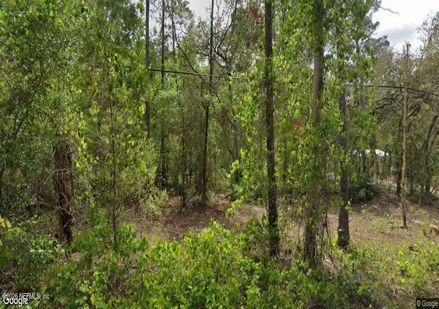 1st image of 105 Pinetree St, Pomona Park, FL 32181 | MLS# 2155011