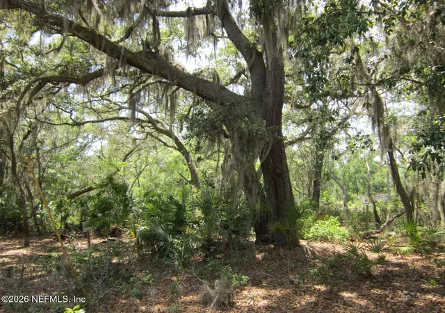 4th image of 125 Kirby Ln, Melrose, FL 32666 | MLS# 2155079