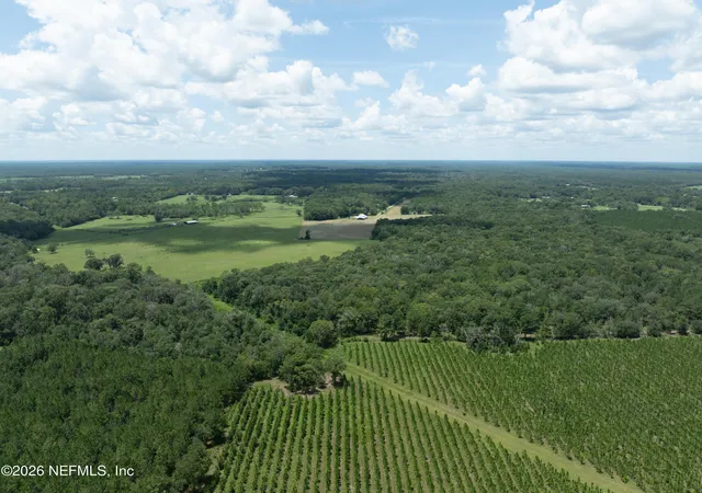 Photo 2 of Land for sale at 0 Nw County Road 225, Starke, FL 32091 | MLS# 2161530 | Listing updated on 2026-08-25
