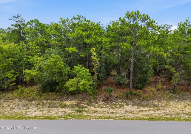 Photo 2 of Land for sale at 7071 Clemson St, Keystone Heights, FL 32656 | MLS# 2162377 | Listing updated on 2026-09-25