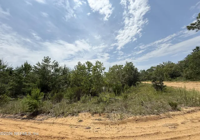 Photo 2 of Land for sale at 0 0 Martin St, Interlachen, FL 32148 | MLS# 2161226 | Listing updated on 2026-08-21