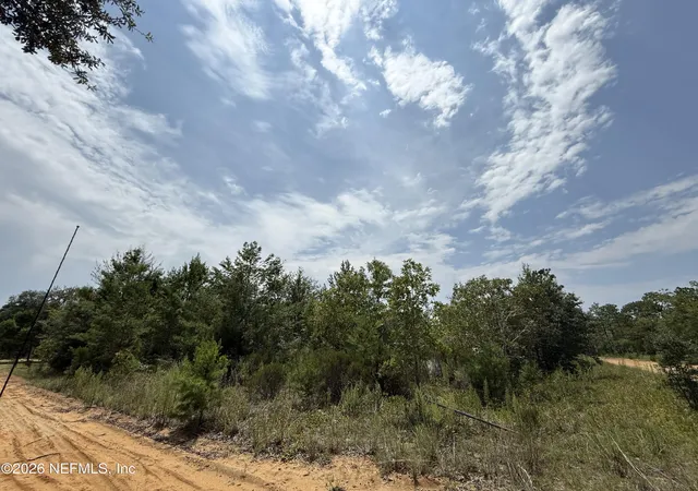 Photo 3 of Land for sale at 0 0 Martin St, Interlachen, FL 32148 | MLS# 2161226 | Listing updated on 2026-08-21