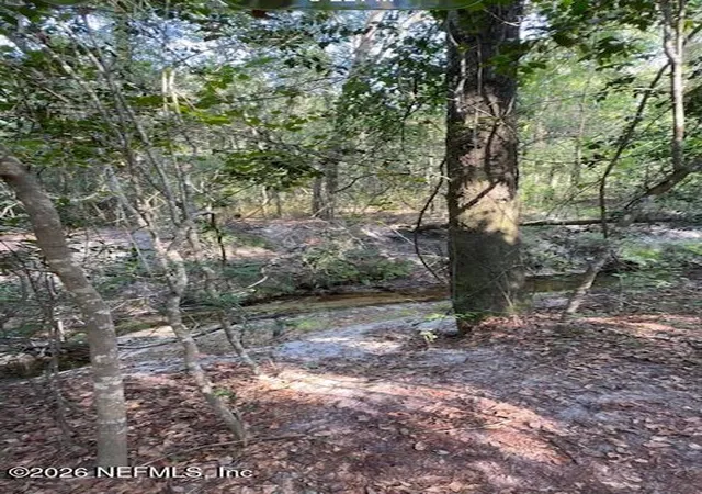 2nd image of 10398 Hollie Rd, Glen St. Mary, FL 32040 | MLS# 2161476