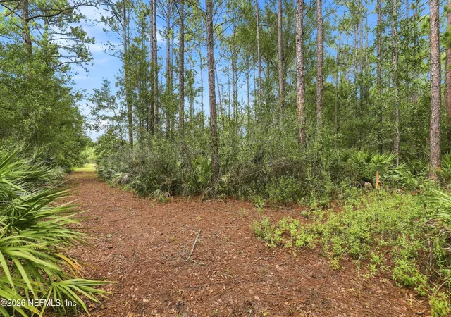 Photo 3 of Land for sale at 9500 Taylor Field Rd, Jacksonville, FL 32222 | MLS# 2162361 | Listing updated on 2026-08-30