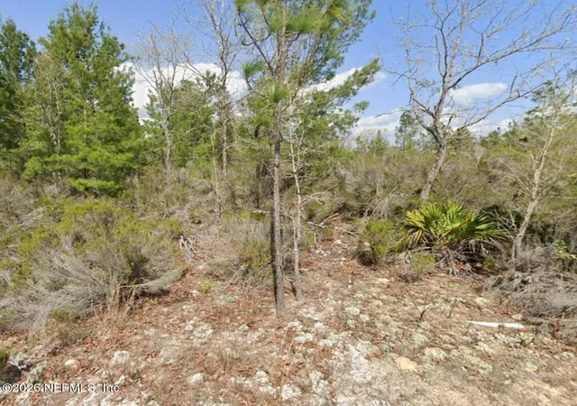Photo 2 of Land for sale at 0 Somerset Ave, Interlachen, FL 32148 | MLS# 2161701 | Listing updated on 2026-09-02