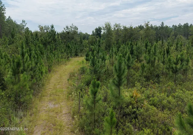 Photo 15 of Land for sale at 0 Mcclelland Rd, Jacksonville, FL 32234 | MLS# 2161837 | Listing updated on 2026-08-26