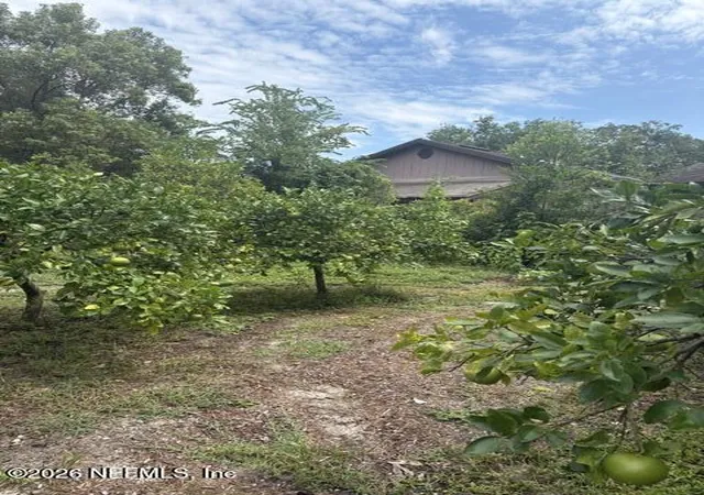 Photo 3 of Land for sale at 1410 Redbud Ln, Jacksonville, FL 32207 | MLS# 2161937 | Listing updated on 2026-08-27