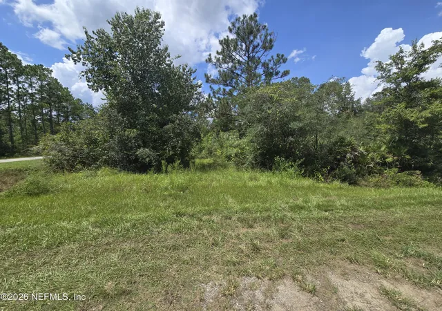 Photo 3 of Land for sale at 10575 Weatherby Ave, Hastings, FL 32145 | MLS# 2161895 | Listing updated on 2026-08-27