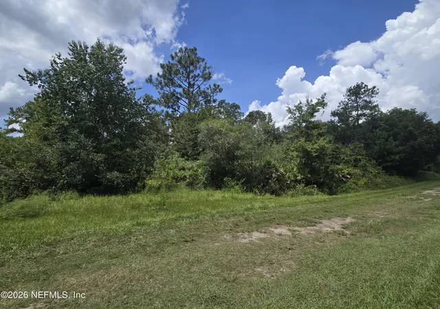 Photo 4 of Land for sale at 10575 Weatherby Ave, Hastings, FL 32145 | MLS# 2161895 | Listing updated on 2026-08-27
