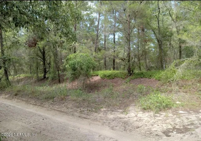 Photo 1 of Land for sale at 0 Orange Blossom St, Pomona Park, FL 32112 | MLS# 2162320 | Listing updated on 2026-08-28