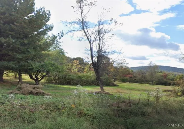 4th image of Willow Tree Rd, Milton, NY 12547 | MLS# S1648012