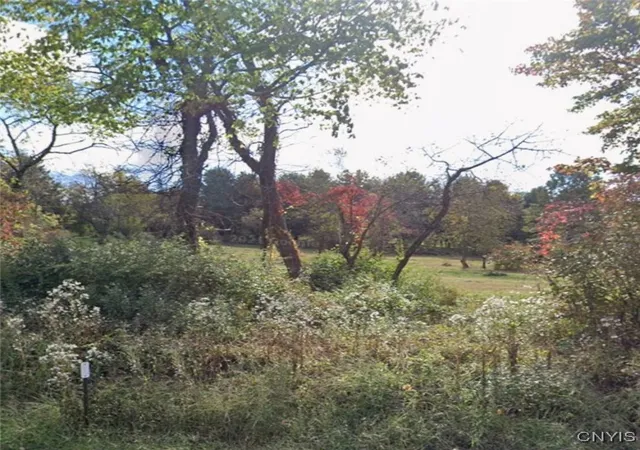 5th image of Willow Tree Rd, Milton, NY 12547 | MLS# S1648012