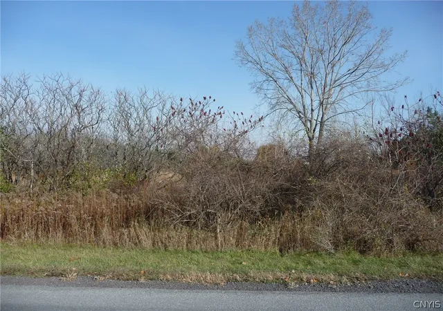 Photo 1 of Land for sale at 0 N Adams, Adams, NY 13605 | MLS# S1306912 | Listing updated on 2025-11-03