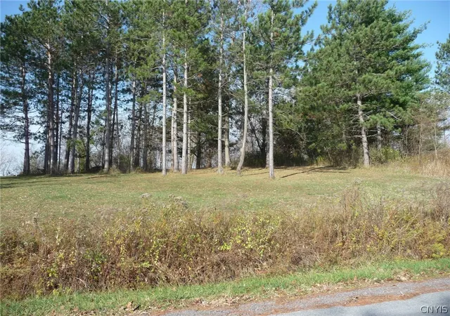 Photo 1 of Land for sale at 0 N Adams, Adams, NY 13605 | MLS# S1306936 | Listing updated on 2025-11-03