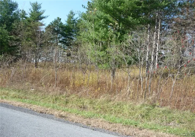 Photo 1 of Land for sale at 0 N Adams, Adams, NY 13605 | MLS# S1306940 | Listing updated on 2025-11-03