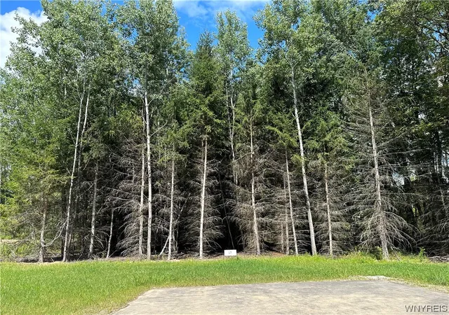 Photo 1 of Land for sale at Lot 17 Tanglewood Development, Allegany, NY 14706 | MLS# B1449436 | Listing updated on 2025-12-19