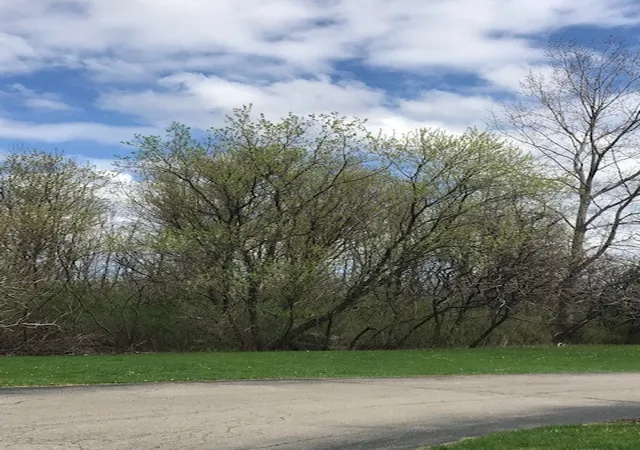Photo 3 of Land for sale at 1386 Hathaway Dr, Farmington, NY 14425 | MLS# R1474056 | Listing updated on 2026-07-24