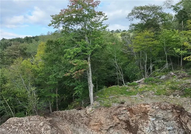 Photo 20 of Land for sale at L1 Huntley Hollow Rd, Colchester, NY 13752 | MLS# S1498904 | Listing updated on 2026-07-25