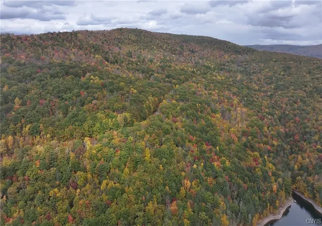 Photo 3 of Land for sale at L1 Huntley Hollow Rd, Colchester, NY 13752 | MLS# S1498904 | Listing updated on 2026-07-25