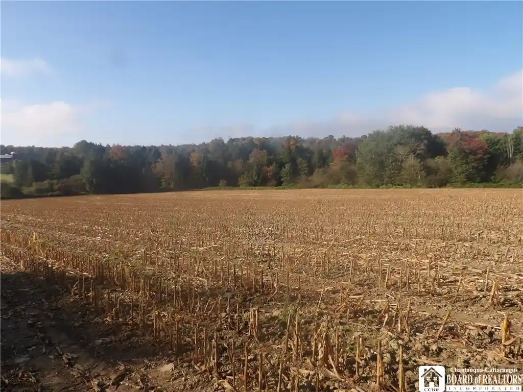 Photo 1 of Sale Pending at 0 Cabbage Hill Rd, Clymer, NY 14724 | MLS# R1504313 | Listing updated on 2024-09-30