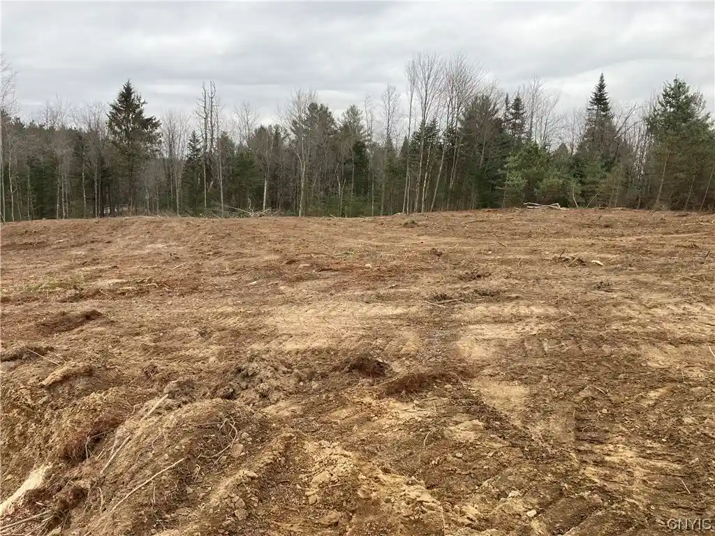 Photo 1 of Land for sale at 0 Mackinaw & Beaver Int, Remsen, NY 13438 | MLS# S1516562 | Listing updated on 2026-04-22
