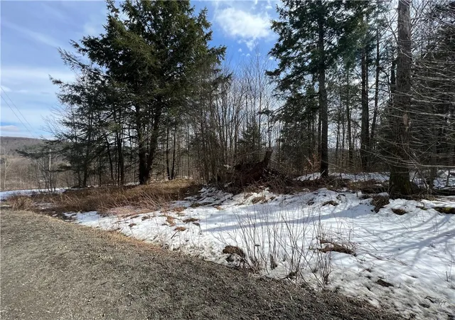 5th image of Lots 2 And 3 Burdick Hill Rd, Otego, NY 13825 | MLS# R1529113