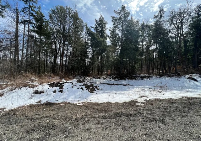 4th image of Lot 3 Burdick Hill Rd, Otego, NY 13825 | MLS# R1529114