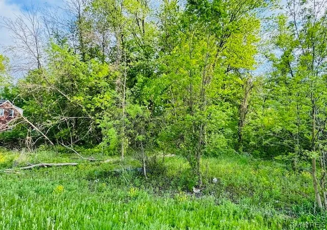 Photo 3 of Land for sale at 3881 E Robinson Rd, Buffalo, NY 14228 | MLS# B1538536 | Listing updated on 2025-12-09