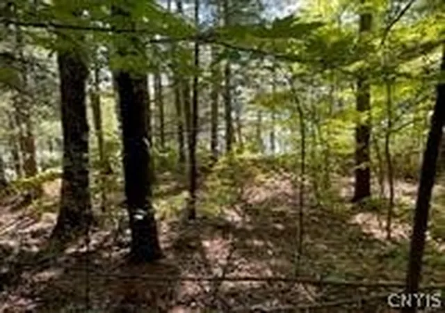 4th image of 0 Big Island/Lot 10, Hammond, NY 13646 | MLS# S1540586