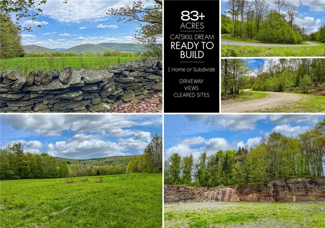 Homes for sale in Andes, NY | 0 State Route 28, Andes, NY 13731 | MLS# R1539126