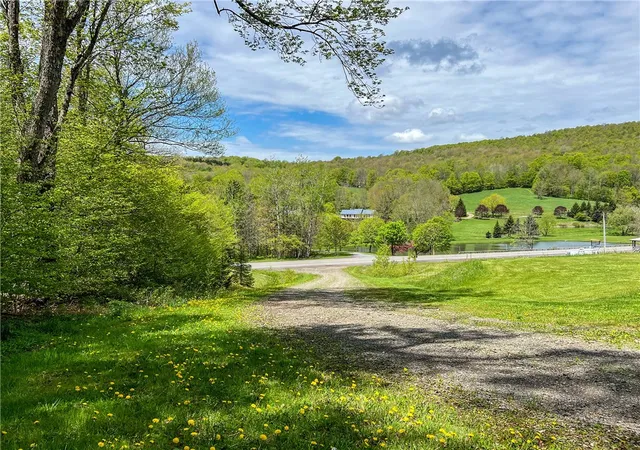 Homes for sale in Andes, NY | 0 State Route 28, Andes, NY 13731 | MLS# R1539126