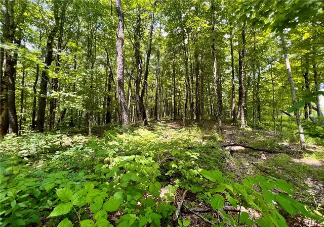 Homes for sale in Redfield, NY | 17 Cassio Rd, Redfield, NY 13493 | MLS# S1545136