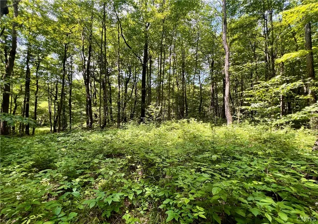 Homes for sale in Redfield, NY | 17 Cassio Rd, Redfield, NY 13493 | MLS# S1545136