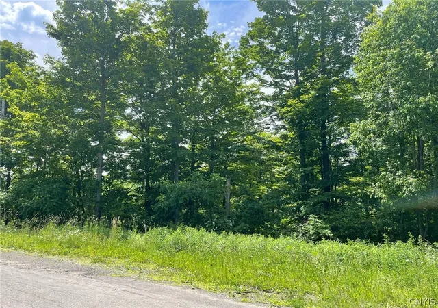Photo 2 of Land for sale at 2002 Amalia Dr, Cortland, NY 13045 | MLS# S1545631 | Listing updated on 2026-04-14