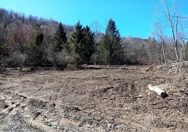 2nd image of 708 Smokey Ave, Maryland, NY 12155 | MLS# R1552964